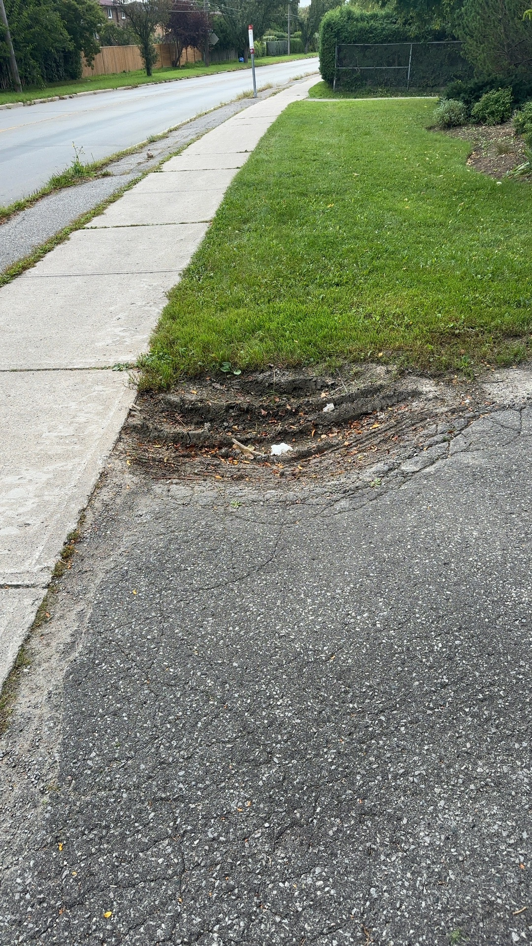 Road Damage at Godstone Park