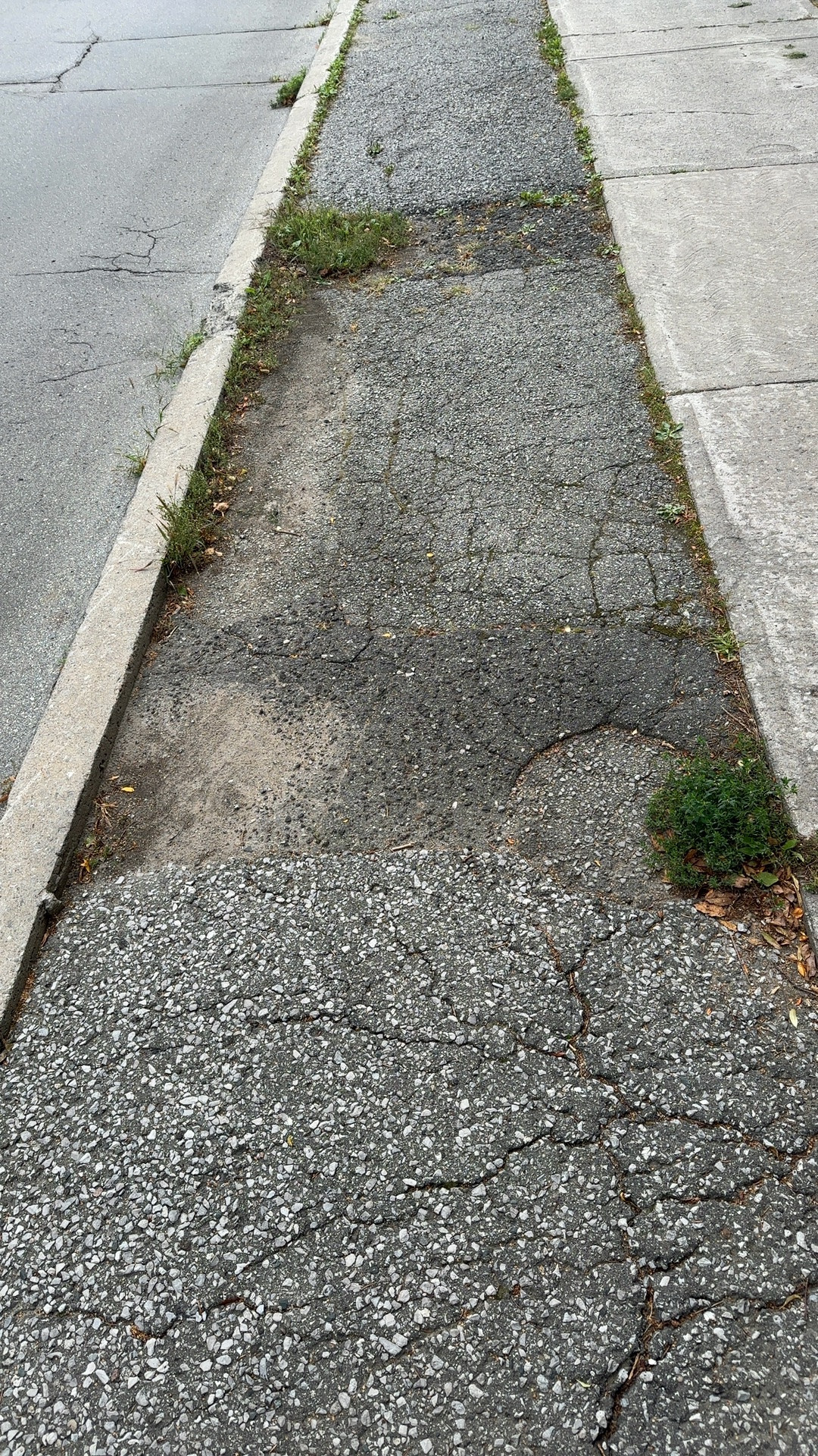 Sidewalk Damage at Godstone Park