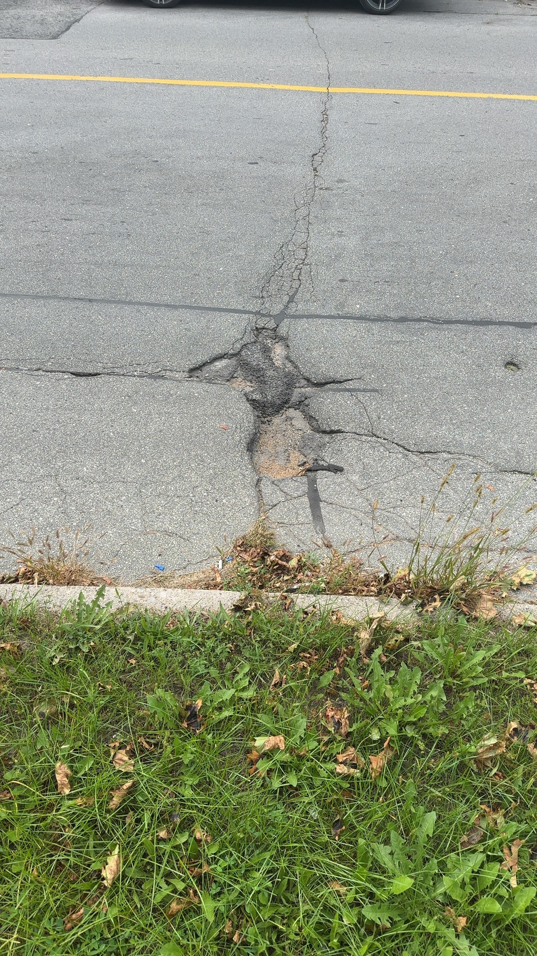 Road Damage at 227 Van Horne Avenue